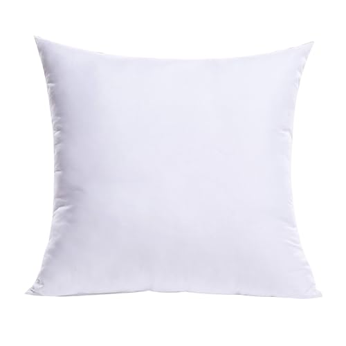 27x27 Euro Throw Pillow Insert for Couch Sofa Bed (27x27 Inch)