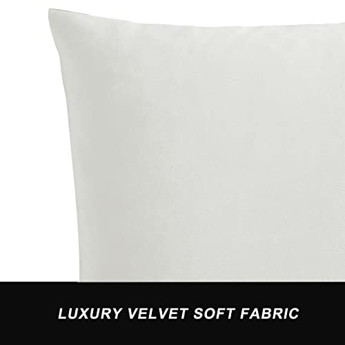 Ivory Velvet Decorative 18x18 Throw Pillow Covers for Sofa Bed 2 Pack Soft Cushion Cover (Rice Ivory / 18" x 18" (Pack of 2))