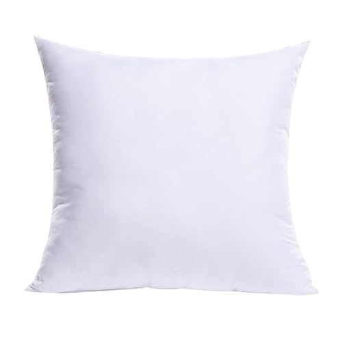 16x16 Inch Throw Pillow Insert for Couch Sofa Bed (16x16 Inch)