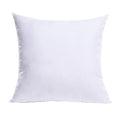 16x16 Inch Throw Pillow Insert for Couch Sofa Bed (16x16 Inch)