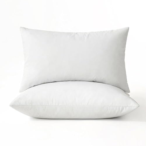 12x20 Pillow Inserts (12x20 Inch)