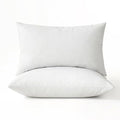12x20 Pillow Inserts (12x20 Inch)