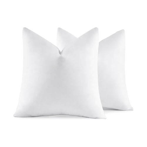 26x26 Euro Pillow Inserts (26x26 Inch)