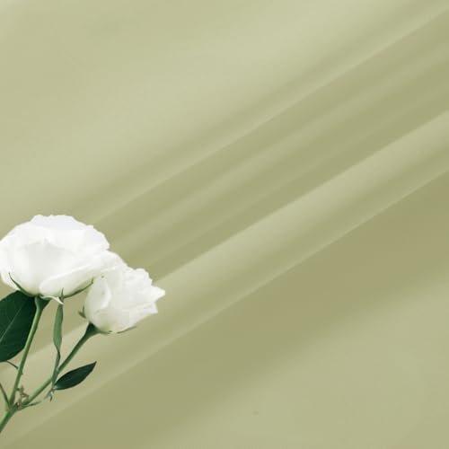 Basic Rod Pocket Sheer Voile Window Curtain Panels Sage Green 1 Pair 2 Panels 26 Width 24 Inch Long for Kitchen Bedroom Children Living Room Yard（Sage Green (Sage Green / 26"W x 24"L (Pack of 2))