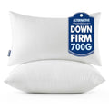 20x26 Throw Pillows Inserts 2 Pack (Standard)