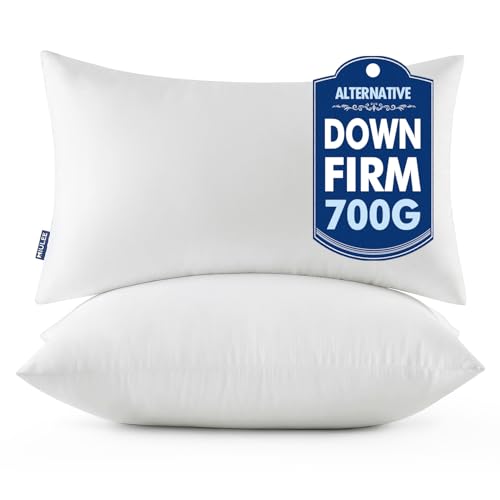 20x26 Throw Pillows Inserts 2 Pack (Standard)