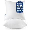 24x24 Euro Pillow Inserts 2 Pack (24x24 Inch)