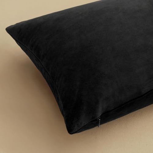 Velvet Throw Pillow Covers 12x12 Inch Pack of 2 Black (12" x 12" (Pack of 2) / Black)