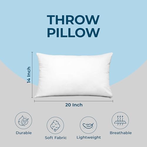 Throw Pillows (14x20 Inch)