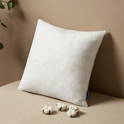 Pillow Insert 12x12 Inch Decorative Square Throw Pillow Inserts (12x12 Inch)