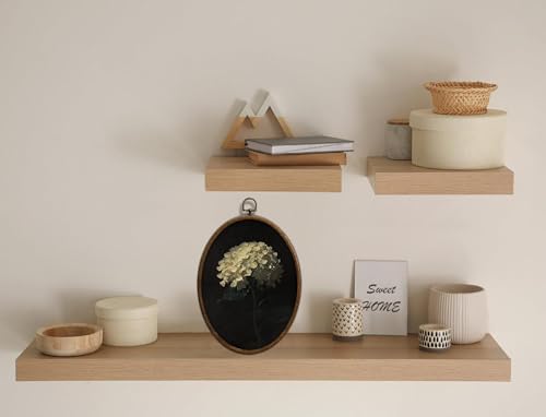 Vintage White Hydrangea Oval Wall Art (Floral Decor, 16)