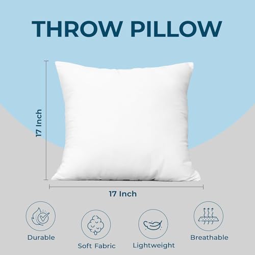 Throw Pillows (17x17 Inch)