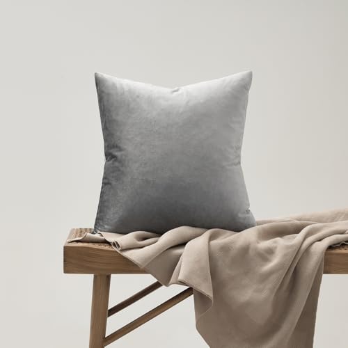 Dark Grey Velvet Throw Pillow Covers 16x16 Pack of 2 (Dark Grey / 16" x 16" (Pack of 2))