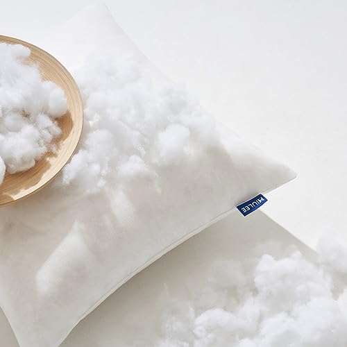 Pillow Insert 12x20 Inch Set of 2 Decorative Throw Pillow Inserts (12x20 Inch)
