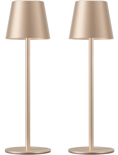 Champagne Gold Cordless Table Lamp Rechargeable (Champagne Gold)