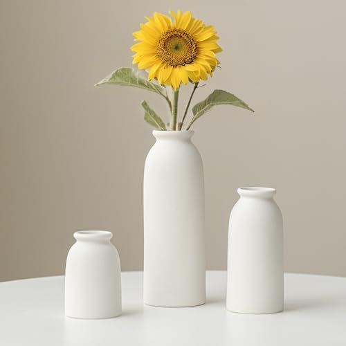 Ceramic Vase Set (White)