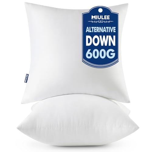 20x20 Throw Pillows Inserts 2 Pack (20x20 Inch)