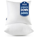 20x20 Throw Pillows Inserts 2 Pack (20x20 Inch)