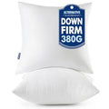 16x16 Throw Pillows Inserts 2 Pack (16x16 Inch)