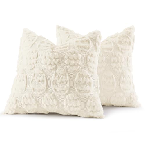 Cream White Faux Fur Egg Throw Pillow Covers 16x16 Set of 2 (16" x 16" (Pack of 2) / Eggs Cream White)