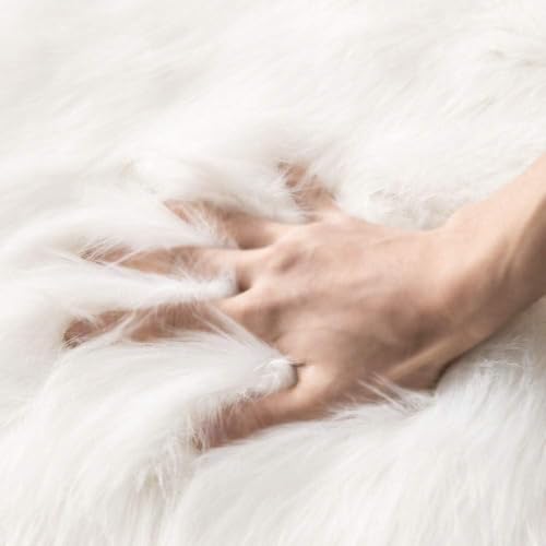Fluffy Area Rug 2'x3' Cloud Faux Fur Sheepskin Rug for Bedroom White (2' x 3' (Cloud) / White)