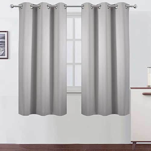 Light Grey Blackout Curtains 42 x 63 Inch Length (Light Grey / 42"W x 63"L (Pack of 2))