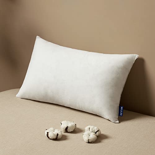 Pillow Insert 14x36 Inch Decorative Rectangle Throw Pillow Inserts (14x36 Inch)