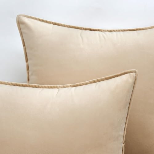 Decorative Beige Velvet Throw Pillow Covers for Couch 20x20 Inch (20" x 20" (Pack of 2) / Beige)