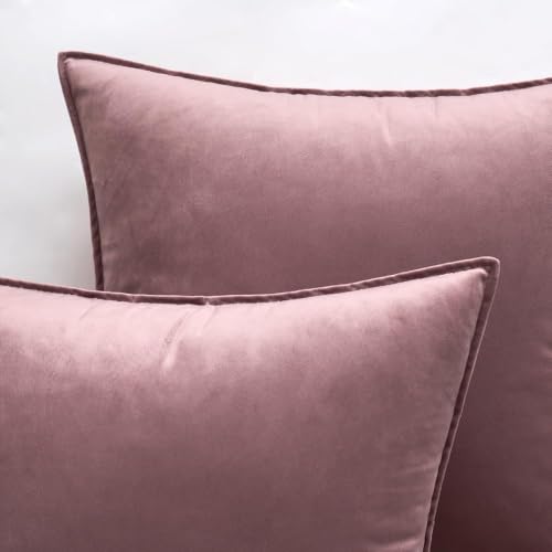 Decorative Jam Velvet Throw Pillow Covers for Couch 20x20 Inch (20" x 20" (Pack of 2) / Jam)