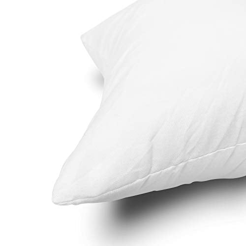 Throw Pillow Inserts