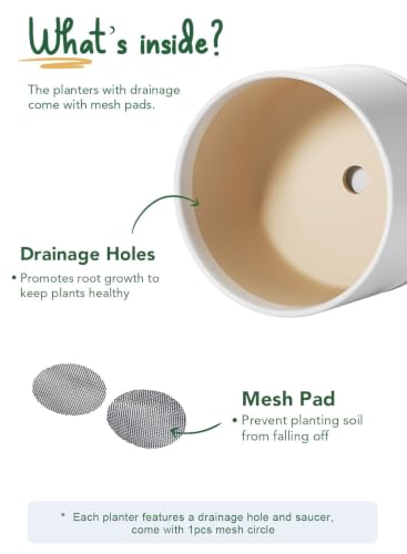 10 + 12 Inch Ceramic Plant Pots (White / 10"+12")