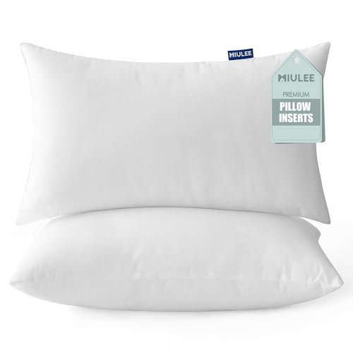 Pillow Insert 12x20 Inch Set of 2 Decorative Throw Pillow Inserts (12x20 Inch)