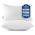 14x20 Throw Pillows Inserts 2 Pack (14x20 Inch)