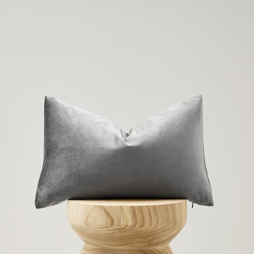 Dark Grey Velvet Throw Pillow Covers 12x20 Pack of 2 (Dark Grey / 20" x 12" (Pack of 2))