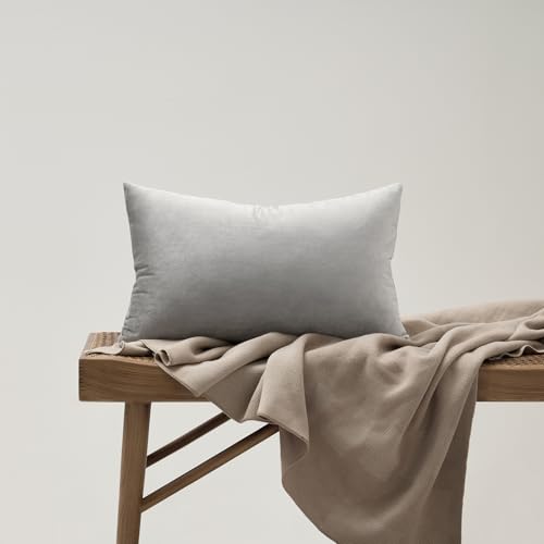 Silver Grey Velvet Throw Pillow Covers 12x20 Pack of 2 (Silver Grey / 20" x 12" (Pack of 2))