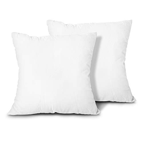 Throw Pillow Inserts