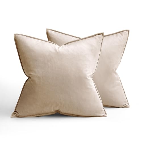 Decorative Champagne Velvet Throw Pillow Covers for Couch 20x20 Inch (20" x 20" (Pack of 2) / Champagne)