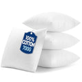 22x22 Inch Pillow Inserts Pack of 4 (22x22 Inch)