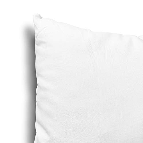 Throw Pillow Inserts