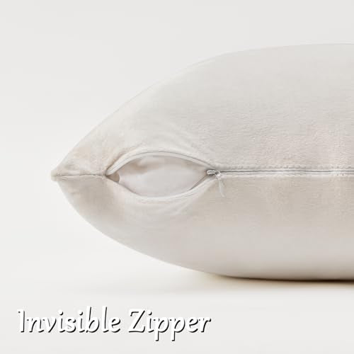 Velvet Pillow Covers 20x20 Decorative Pillows Pack of 2 Ivory (Ivory / 20" x 20" (Pack of 2))