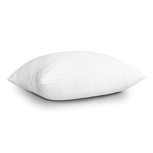 Throw Pillow Inserts