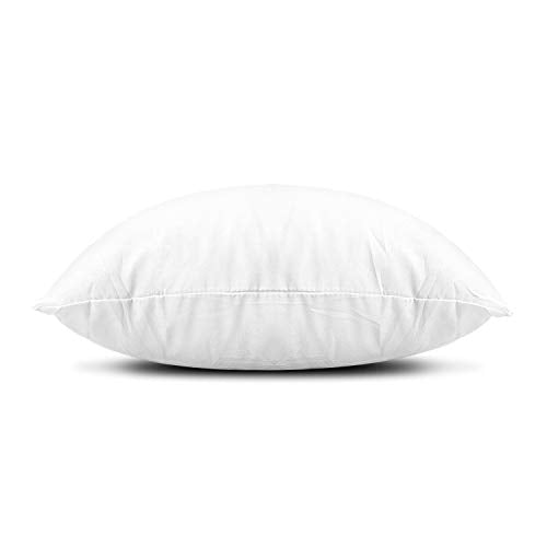 Throw Pillow Inserts