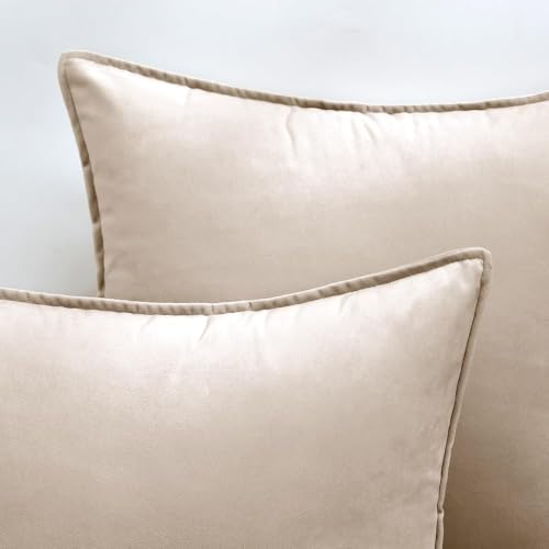 Decorative Champagne Velvet Throw Pillow Covers for Couch 20x20 Inch (20" x 20" (Pack of 2) / Champagne)