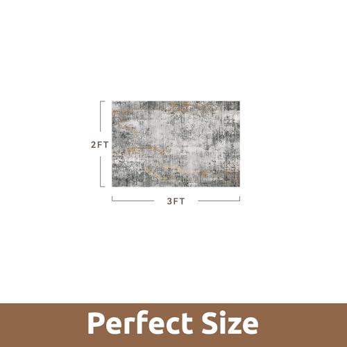 2 x 3 Small Area Rug Indoor Entryway Rug Machine Washable Non Slip Low Pile Carpet Modern Abstract Rugs for Bedroom Kitchen Powder Room Front Porch Bathroom (Grey / 2' x 3')