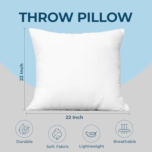 Throw Pillows (22x22 Inch)