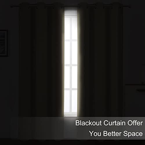 Blackout Curtains 66 x 95 inch (Beige / 66"W x 95"L (Pack of 2))