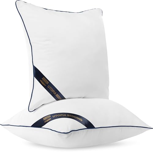 18x18 Throw Pillow Inserts (18x18 Inch)