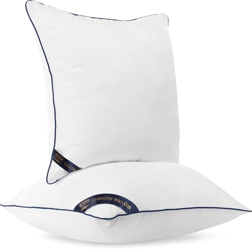 16x16 Throw Pillow Inserts (16x16 Inch)