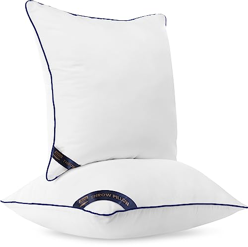 14x14 Throw Pillow Inserts (14x14 Inch)