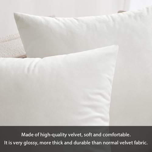 12x20 Inch Lumbar Velvet Throw Pillow Covers Pure White (20" x 12" (Pack of 2) / Pure White)